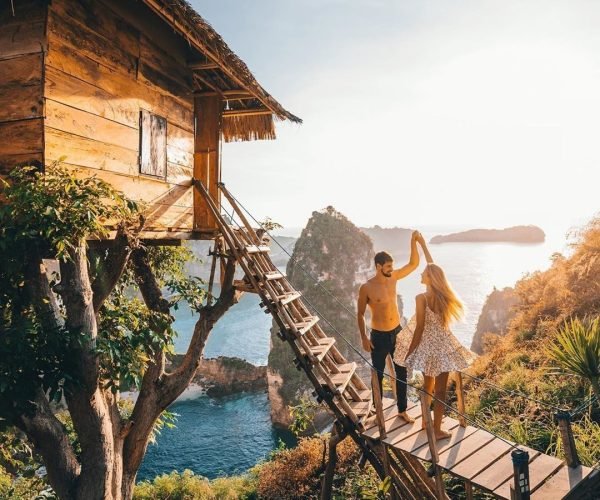 Tree House3