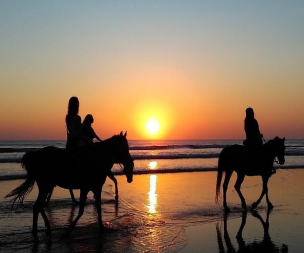 horse riding 3