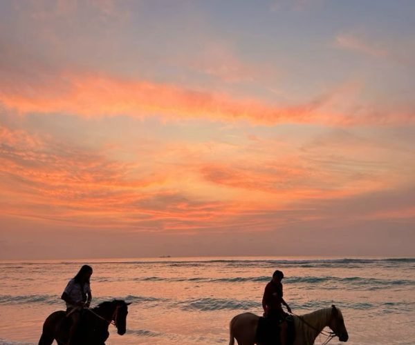 horse riding 5