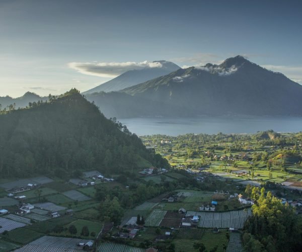 kintamani11