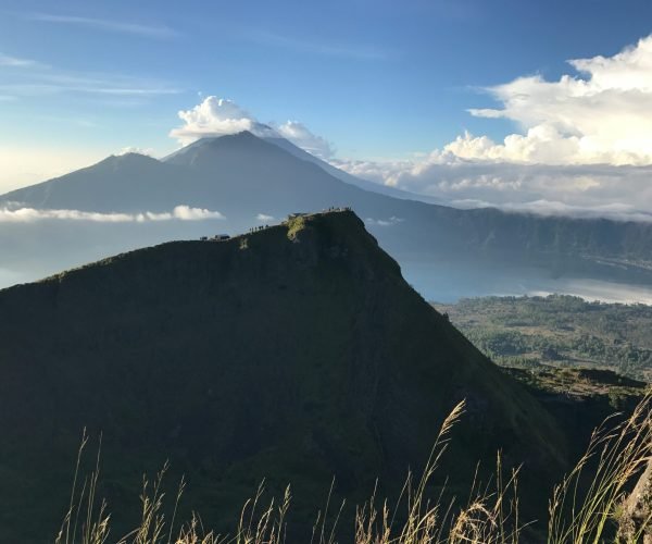 kintamani8