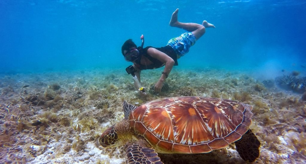 snorkeling2-1-scaled.jpg