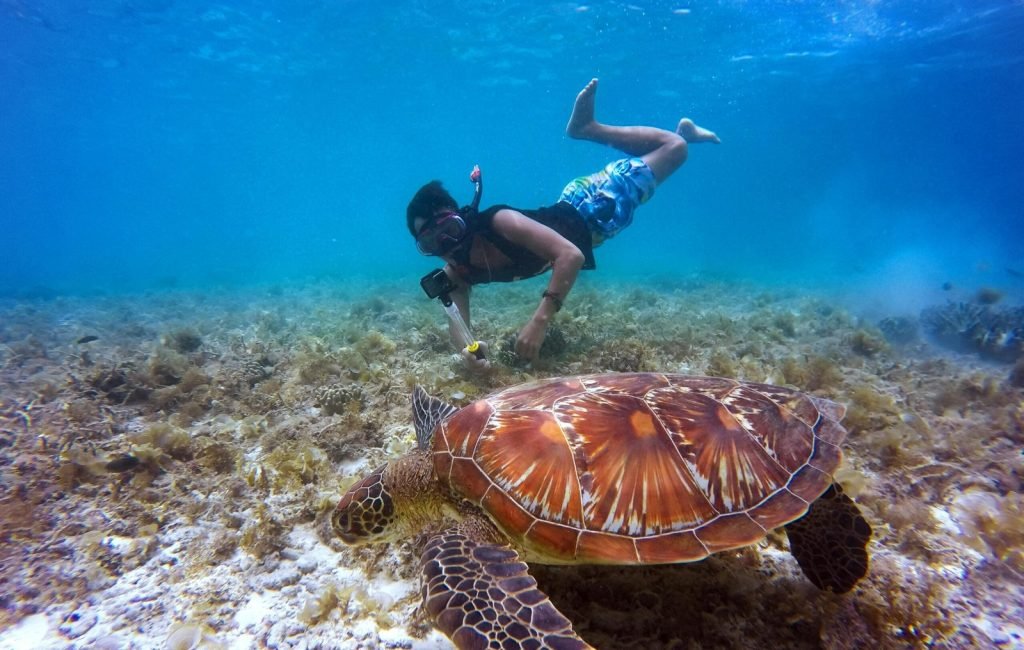 snorkeling2-1-scaled.jpg
