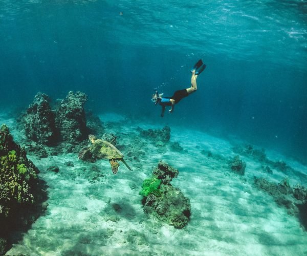 snorkeling5