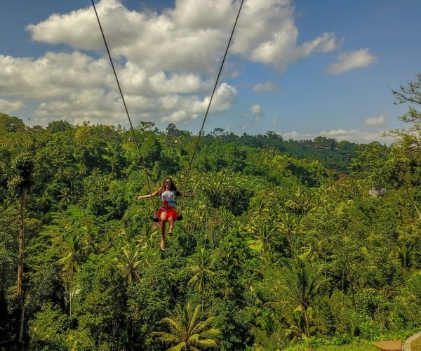 swinggg